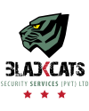 BlackCat-Logo
